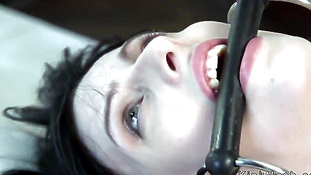 Stockings xander corvus, rough strap on fuck, xander corvus rough, strapon boink, toys xander corvus