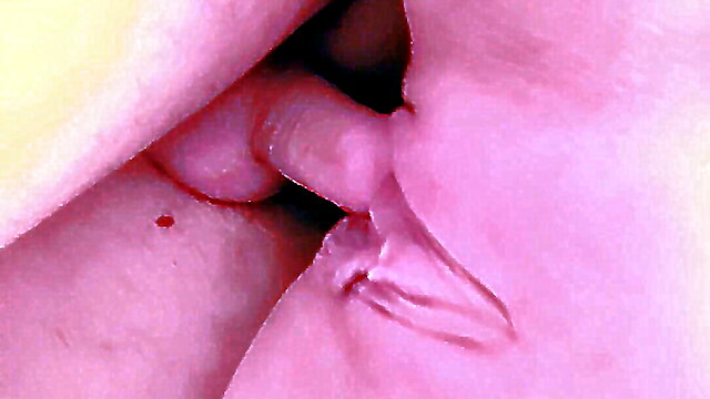 Mom dad kissing, cuckold mobile, real homemade mobile, amateur wedding cheating, cheating mobile
