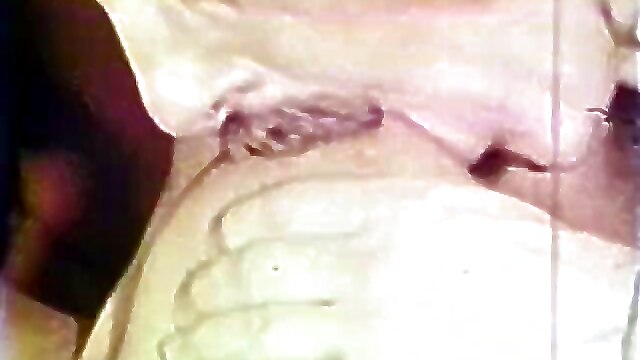 Loops cumshot tits, ebony girl on girl porn, ebony belted, raven amateur facial, 70 s vintage hairy